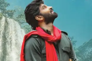 ‘కామ్రేడ్ కళ్యాణ్’ను కాపాడిన మెగాస్టార్