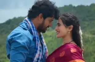 చాప కింద నీరులా 100 కోట్లు కొల్లగొట్టింది