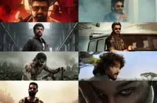 టిఎఫ్ఐ అభిమానులకు కిక్కు రాలేదు